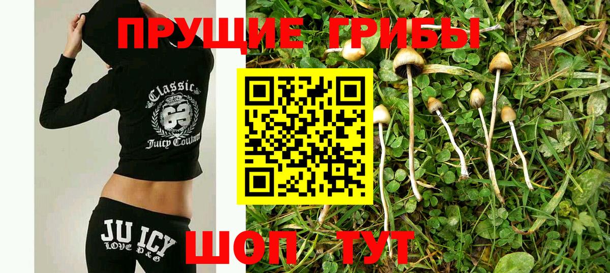 Псилоцибиновые грибы GOLDEN TEACHER Тобольск